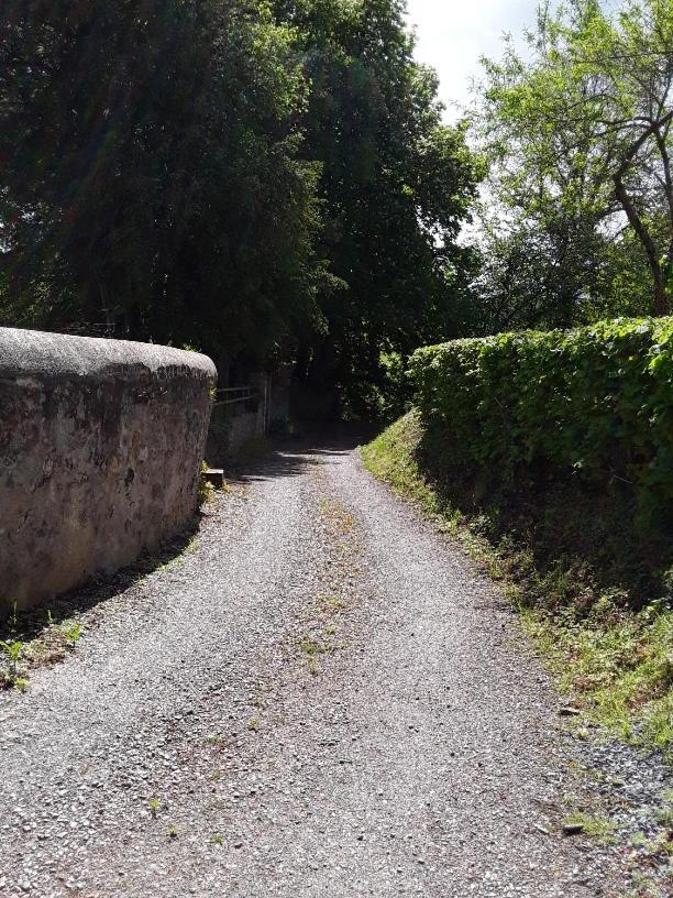 Villa La petite Bardouillère Courdemanche  Esterno foto
