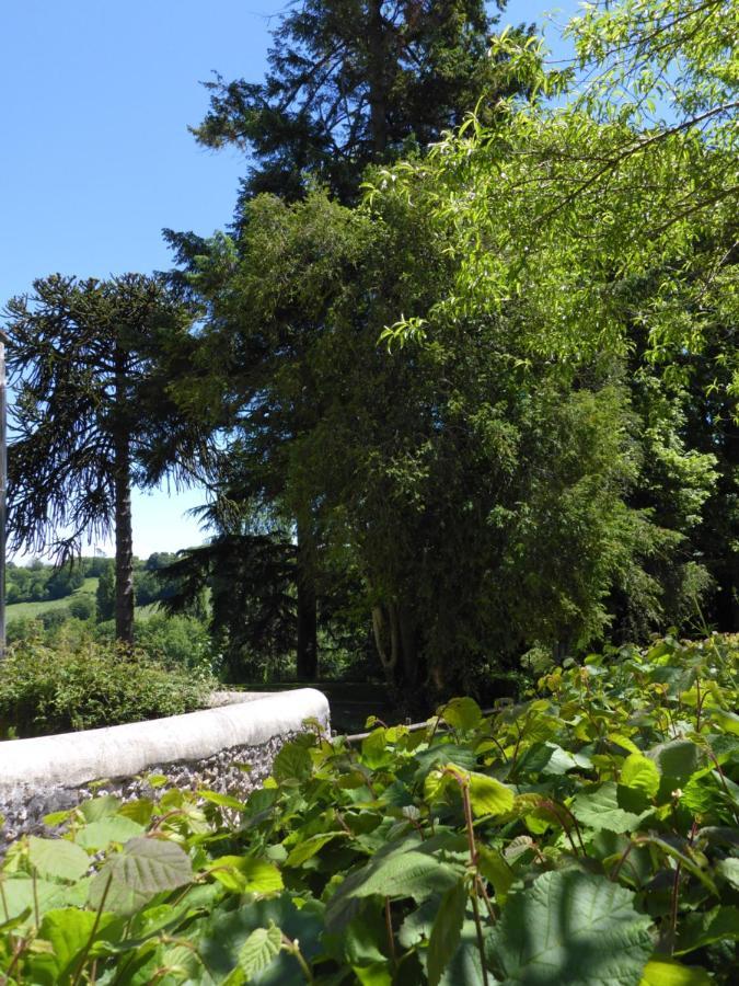 Villa La petite Bardouillère Courdemanche  Esterno foto