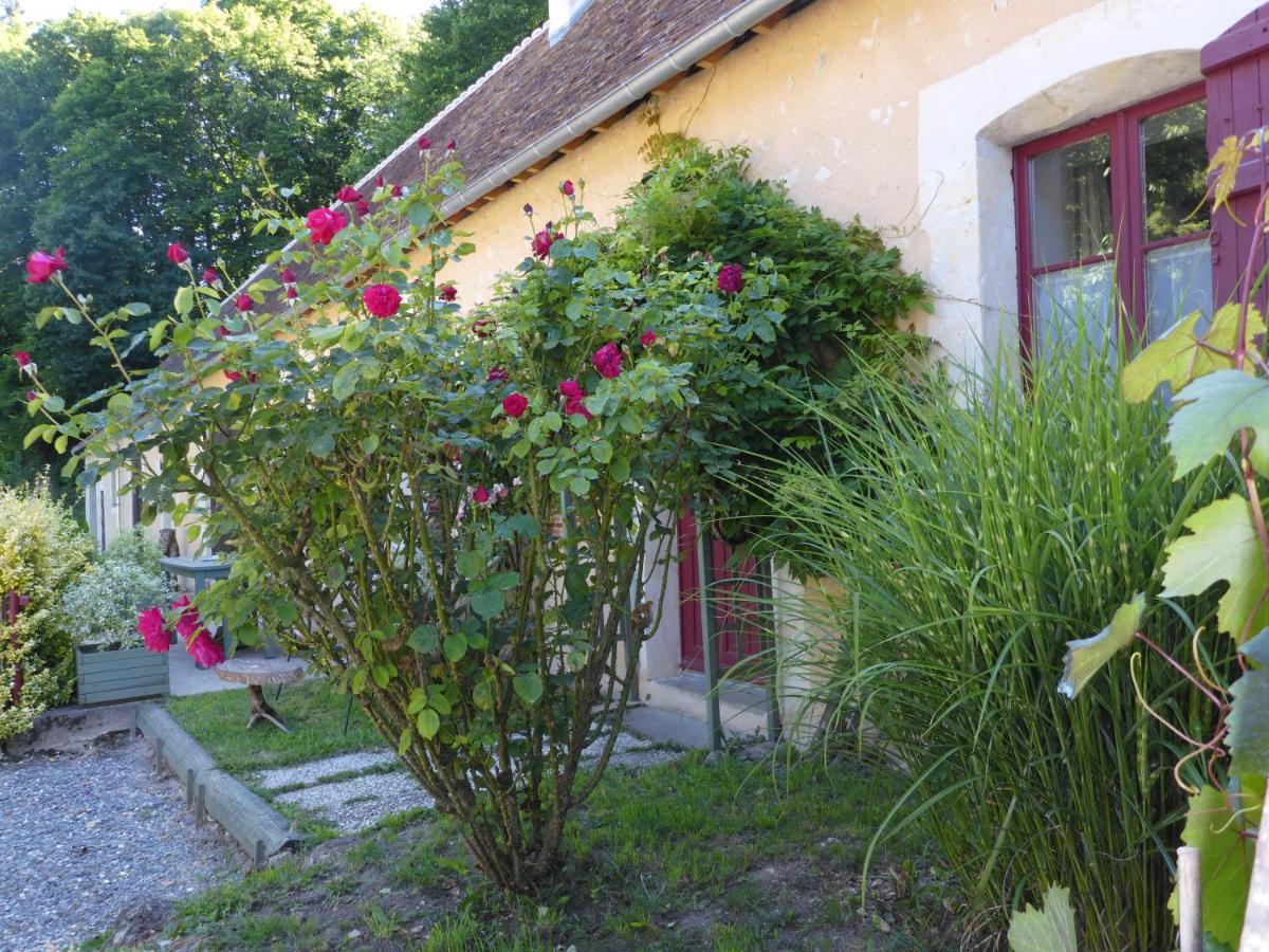 Villa La petite Bardouillère Courdemanche  Esterno foto